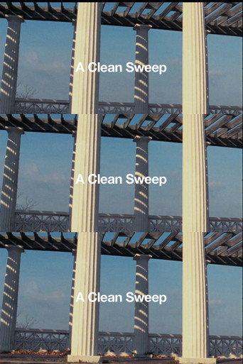 A Clean Sweep () poster