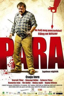 Para (2008) poster