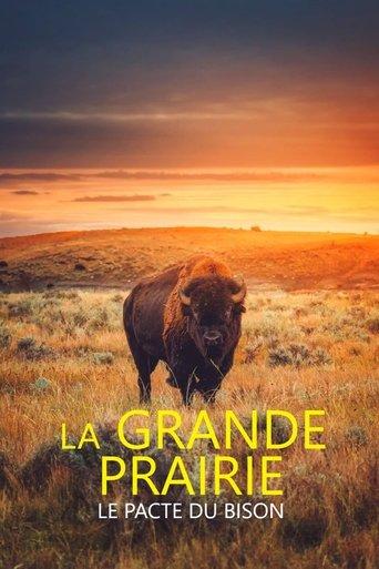 La grande prairie, le pacte du bison (2025) poster