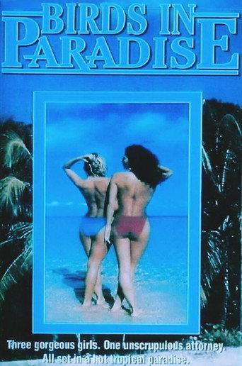 Soft Touch II (1987) poster