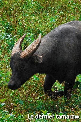 Le dernier tamaraw (2019) poster