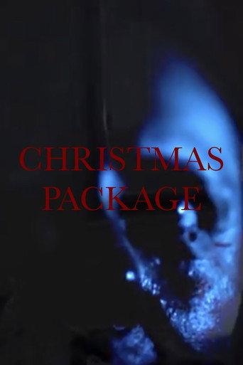 Christmas Package () poster