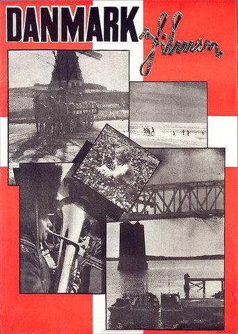 Danmarksfilmen (1935) poster