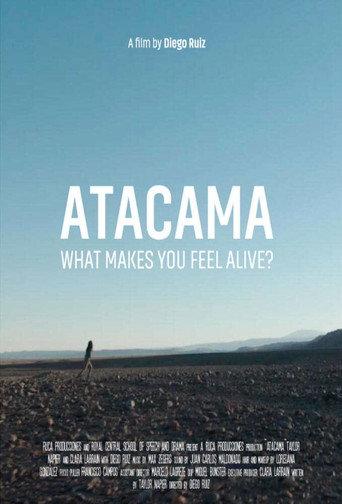 Atacama (2018) poster