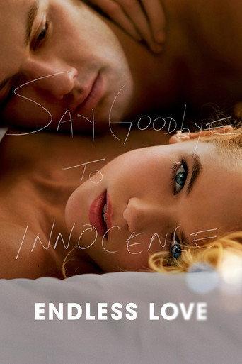 Endless Love (2014) poster