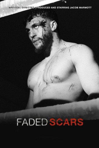 Faded Scars () poster