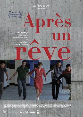 After a Dream (2013) poster