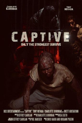 Captive () poster