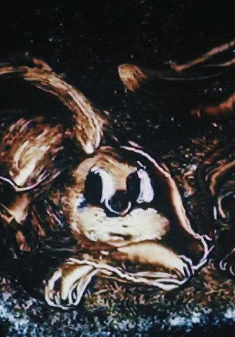Night (1979) poster
