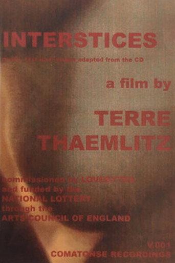 Interstices (2001) poster