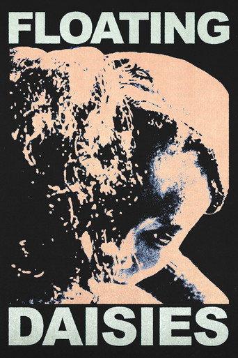 Floating Daisies () poster