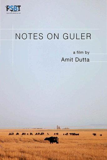 Notes on Guler (2019) poster