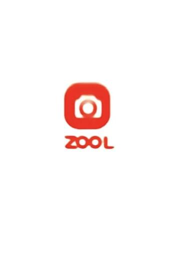 Zool () poster
