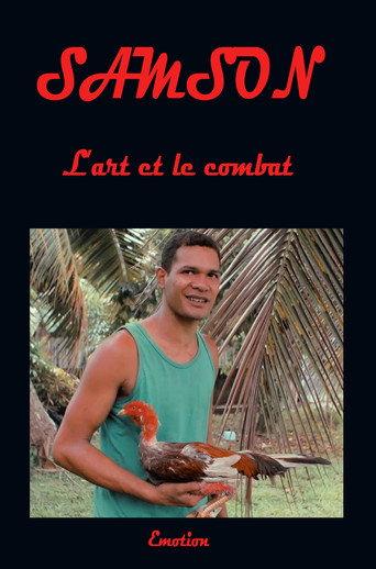 Samson art and combat (2017) poster