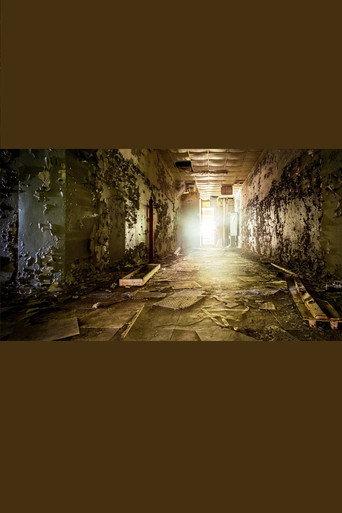 Rückkehr nach Tschernobyl - Das Leben nach dem Super-GAU (2020) poster