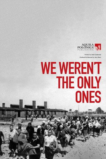 We Weren't The Only Ones (2020) poster