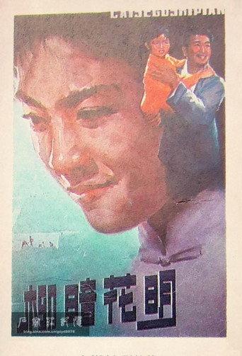柳暗花明 (1979) poster