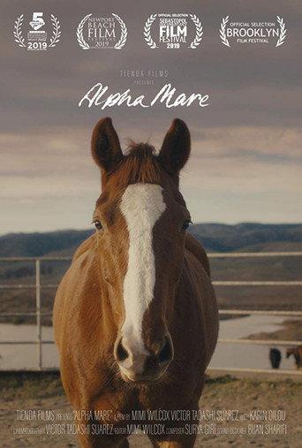 Alpha Mare (2019) poster