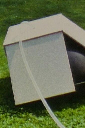 Box 1 (1979) poster