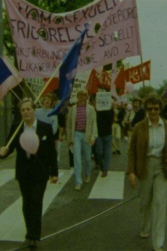 From Liberation to Trans Militancy - Documents from Queer Struggles in Sweden () poster