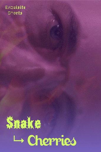 Snake to Cherries () poster