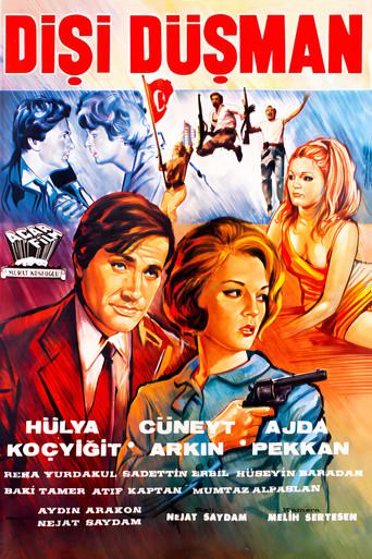 Dişi Düşman (1966) poster