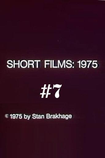 Short Films 1975: #7 (Turning the Raccoon Loose) (1975) poster