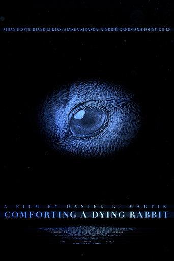 Comforting A Dying Rabbit (2024) poster