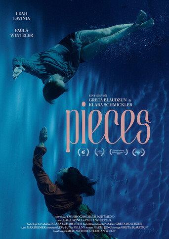 pieces (2024) poster