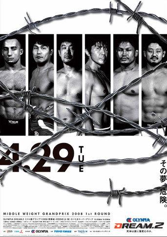 Dream 2 (2008) poster