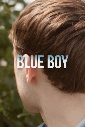 Blue Boy () poster