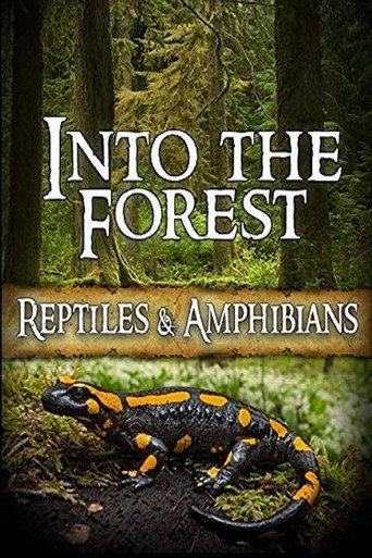 Into the Forest: Reptiles & Amphibians (2019) poster