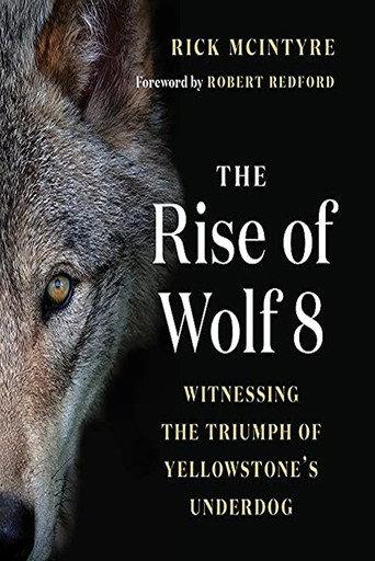 The Alpha Wolves of Yellowstone () poster