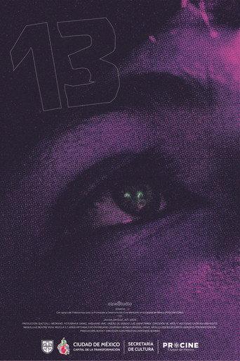 13 () poster