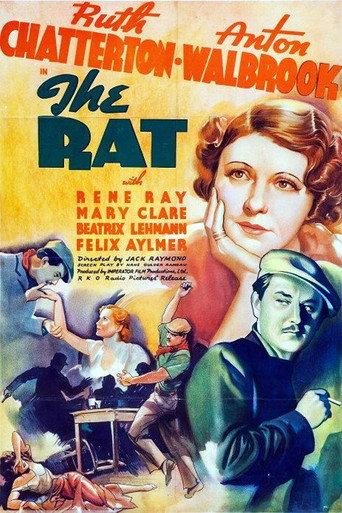 The Rat (1937) poster