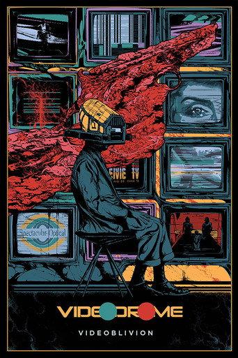 Videoblivion (2015) poster