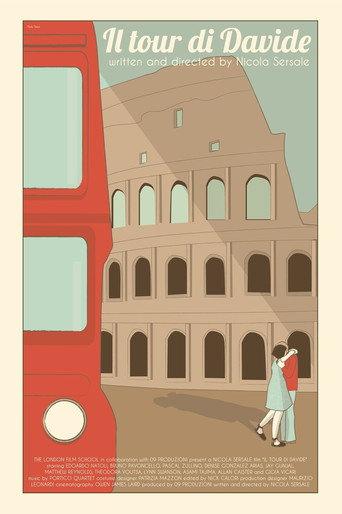 David's Tour (2013) poster