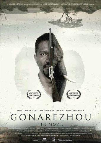 Gonarezhou: The Movie (2020) poster