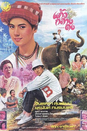 Kaew Klang Dong (1985) poster