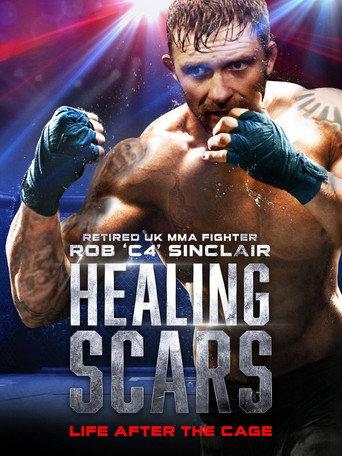 Healing Scars (2018) poster