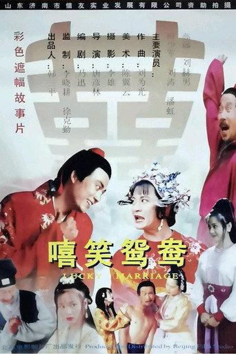 嘻笑鸳鸯 (1995) poster