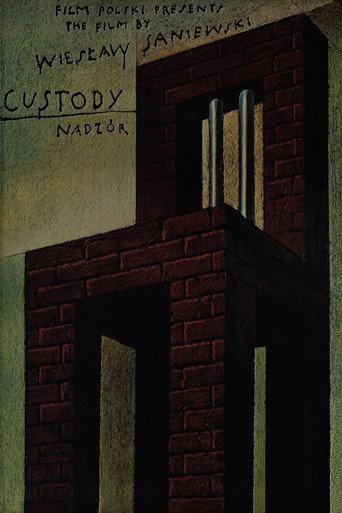Custody (1985) poster