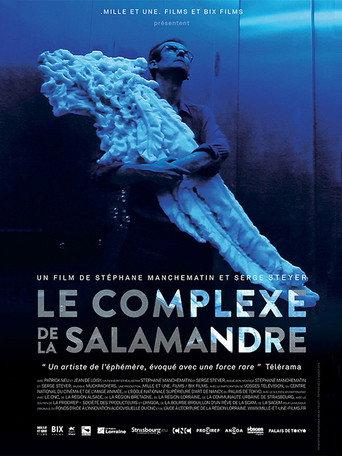 Le Complexe de la salamandre (2015) poster