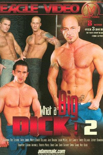 What a Big Dick! 2 (2014) poster