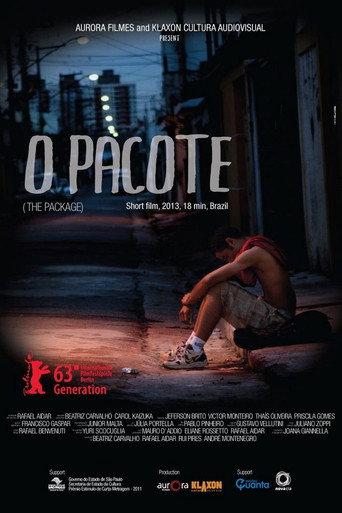 The Package (2013) poster