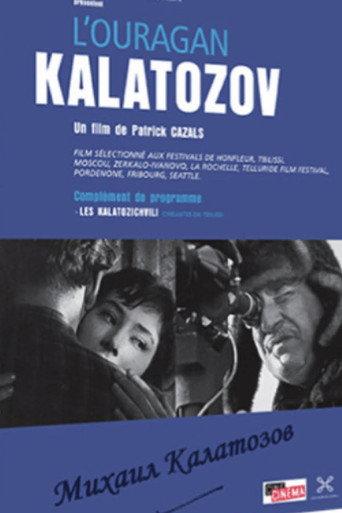 Hurricane Kalatozov (2009) poster