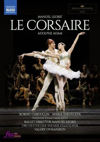 Le Corsaire (2019) poster