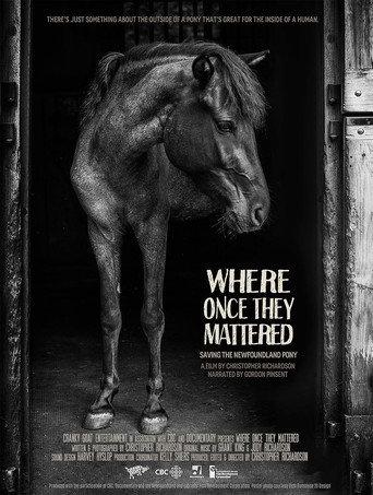 Where Once They Mattered (2015) poster