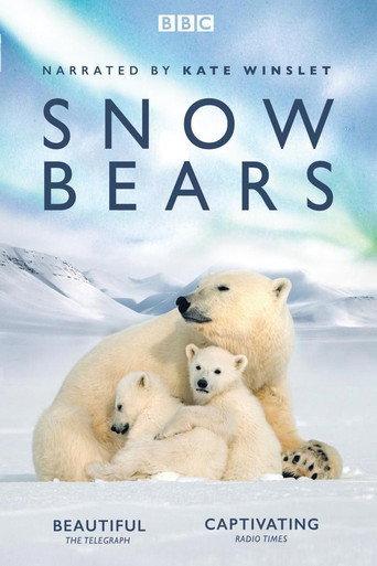 Snow Bears (2017) poster