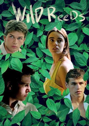 Wild Reeds (1994) poster
